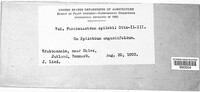 Image Associated With the Occurence